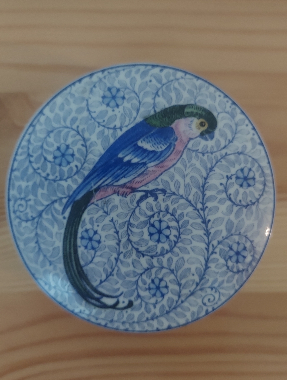 Parrot Container - Picture 2 of 7